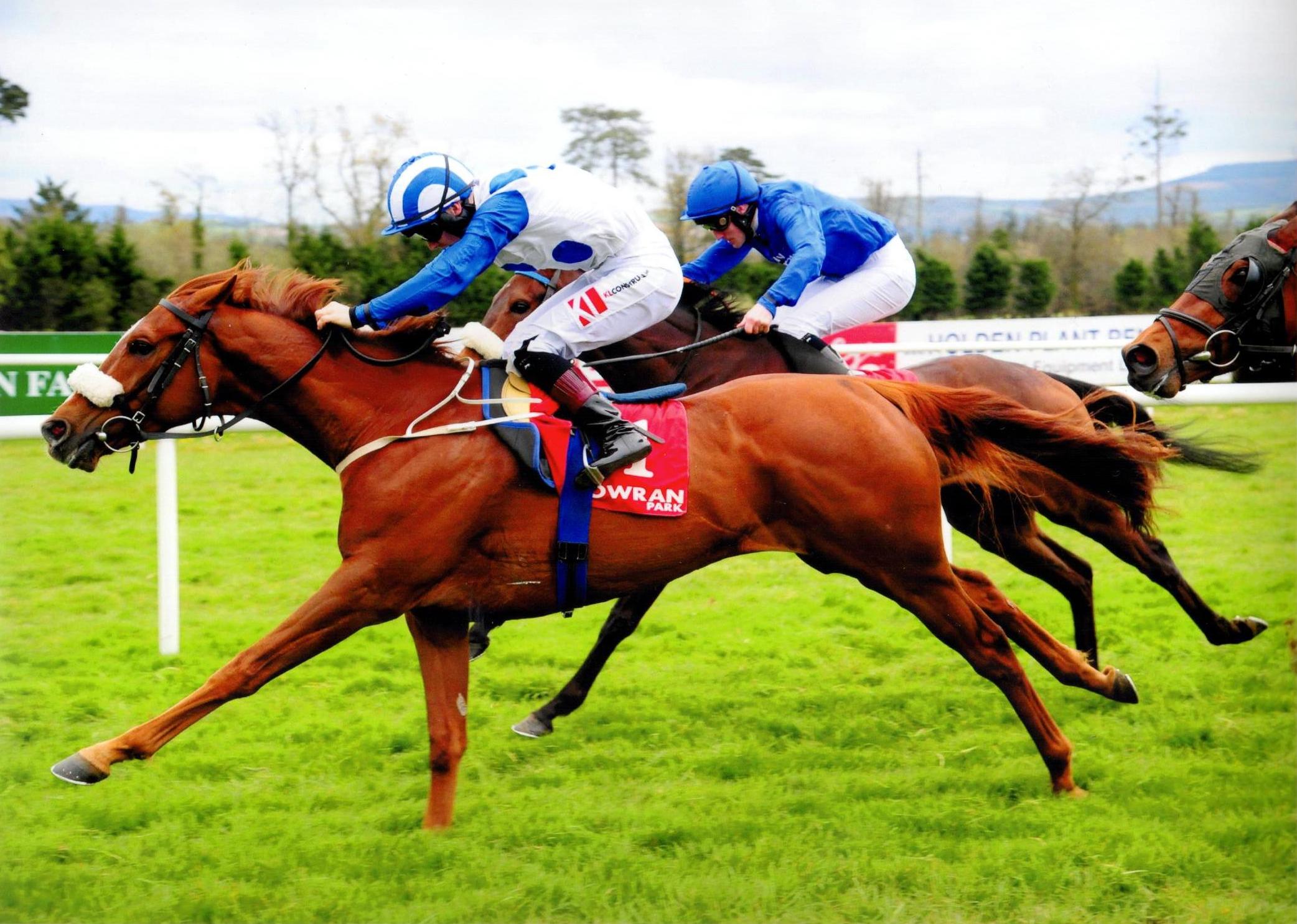 MINT CHAI brings up a double on the card for Team Lyons at Gowran 24 April 2016